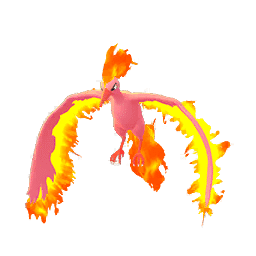 Pokemon #2146 Shiny-Moltres Shiny Picture - For Pokemon Go Players