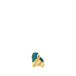 Cyndaquil