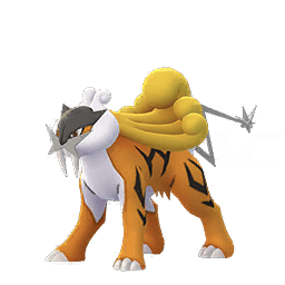 Pokemon Shiny Raikou 12